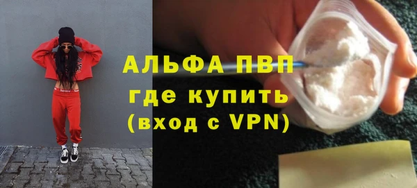 PSILOCYBIN Инсар