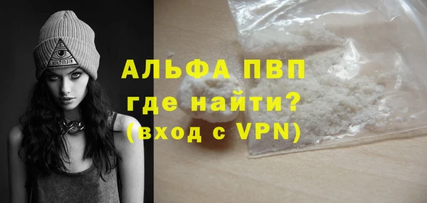 PSILOCYBIN Инсар