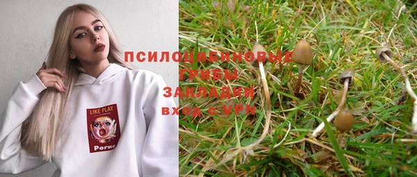 тгк Строитель