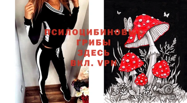 круглые Инта
